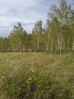 Лот: 11447413. Фото: 6. Участок 19 соток Сухая Балка