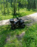 Лот: 25650265. Фото: 3. Квадроцикл GRIZZLY 250 Б/У. Авто, мото, водный транспорт