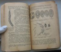 Лот: 19929286. Фото: 6. Цингер Я.А. Простейшие. Практическое...