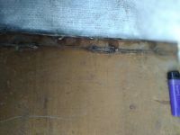 Лот: 13451201. Фото: 2. Лист нержавейка 3 х 230 х 500... Приготовление напитков