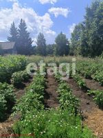 Лот: 25289567. Фото: 12. 4-комн. дом , село Бартат улица...