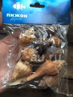 Лот: 15961106. Фото: 3. Настоящие Ракушки Украшения в... Растения и животные