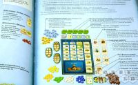 Лот: 11578823. Фото: 11. Настольная игра Пуэрто-Рико