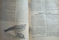 Лот: 25190054. Фото: 14. Боец охотник. Ежемесячный журнал...