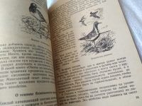 Лот: 17439388. Фото: 6. Герман В.Е. Охота на болотную...