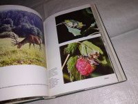 Лот: 7823335. Фото: 16. ок....(2092312)Иллюстрированная...