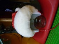 Лот: 3344580. Фото: 2. шапочка для маленькой девочки. Одежда и аксессуары