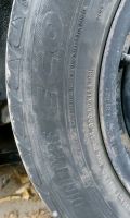 Лот: 12327012. Фото: 5. Шины Dunlop Digi Tyre ECO 185...