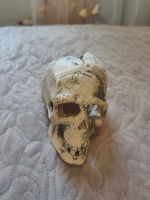 Лот: 20130505. Фото: 2. Череп декоративный (можно в аквариум... Аквариумистика