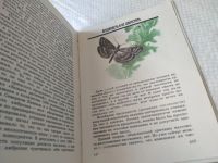 Лот: 18768189. Фото: 4. Злотин А.З. Насекомые - друзья... Красноярск