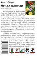 Лот: 18419379. Фото: 3. мирабиллис, Салмон притти.редкая... Для дачи, дома, огорода, бани, парка