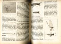 Лот: 18038664. Фото: 18. Мельников И., Сидоров С. Золотая...