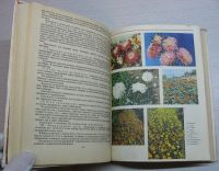 Лот: 15184919. Фото: 3. Чувикова А.А. Потапов С.П. Коваль... Литература, книги