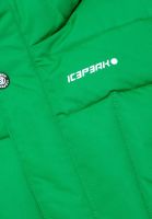Лот: 18177051. Фото: 2. Куртка зимняя Icepeak детская... Спортивная одежда