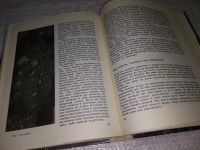 Лот: 12006015. Фото: 5. Упрямые башмачки, Алексей Смирнов...