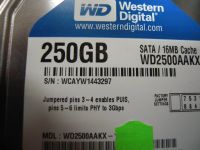 Лот: 13068496. Фото: 2. HDD 250GB WD (жесткий диск для... Комплектующие