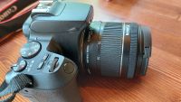 Лот: 20632659. Фото: 3. Canon eos 250d ef-s 18-55 is stm... Фото, видеокамеры, оптика