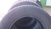 Лот: 5538266. Фото: 2. Шины Nokian Hakkapeliitta 7. Шины, Диски