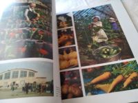 Лот: 18519915. Фото: 5. Устюжанин Г.П., Елагин В.С. Курганская...