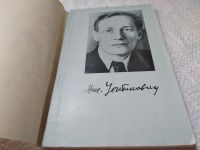 Лот: 19264760. Фото: 2. оз..Малютина А. Николай Устинович... Литература, книги