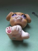 Лот: 7441130. Фото: 2. Littlest Pet Shop Петшоп пес. Коллекционирование, моделизм