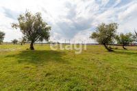Лот: 23339404. Фото: 2. Продам участок 22.9 сот. Есауловское... Продажа