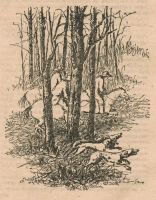 Лот: 14794020. Фото: 6. Уильям Фолкнер - Рассказы. Медведь...