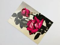 Лот: 23296567. Фото: 2. Роза (115). Открытка с наклееной... Открытки, билеты и др.