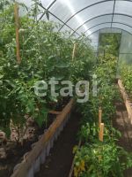 Лот: 25293033. Фото: 11. 1-комн. дача , СНТ Надежда СНТ...