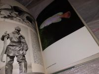 Лот: 14342125. Фото: 7. Иллюстрированная энциклопедия...