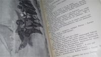 Лот: 10387664. Фото: 8. Крутые ступени, Никодим Гиппиус...