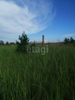 Лот: 25292818. Фото: 6. участок , ,. продажа