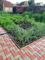 Лот: 25600819. Фото: 13. 2-комн. дача , садоводческое некоммерческое...