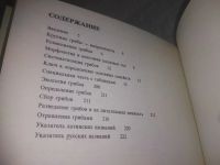 Лот: 25415104. Фото: 3. вб(4092355)Грибы, Я. Клан, В книге... Литература, книги