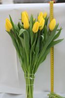 Лот: 3617091. Фото: 12. Тюльпаны к 8 МАРТА! Крупный и...