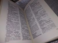 Лот: 16546097. Фото: 3. Словарь трудностей русского языка... Литература, книги