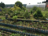 Лот: 11782784. Фото: 10. Дом с участком Арейское/ Татьяна