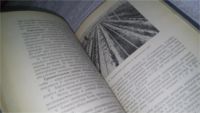 Лот: 11736334. Фото: 8. оз...Овощеводство защищенного...