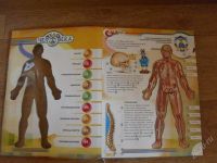 Лот: 2545390. Фото: 2. тело человека продам. Детям и родителям