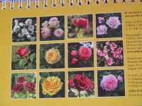 Лот: 13050272. Фото: 2. календари на поделки. рукоделие... Творчество