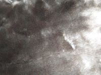 Лот: 14168021. Фото: 3. искусственный мех. Красноярск