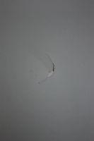 Лот: 6925736. Фото: 6. Дверь межкомнатная финская (оригинал...