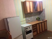 Лот: 13409989. Фото: 3. Сдам 1-комн в Солнечном. Недвижимость