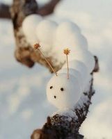 Лот: 6743489. Фото: 6. Снежколеп. Цвет серый. Новый