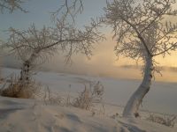 Лот: 17115636. Фото: 6. Olympus E-PL-5 (пробег 7200+ )