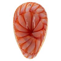 Лот: 25200720. Фото: 4. Блюдо декоративное Yalos Shell... Красноярск