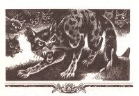 Лот: 15556928. Фото: 4. Эрин Хантер (Кейт Кэри, Черит...