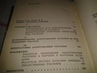 Лот: 5528083. Фото: 2. А.Махов, Наш зеленый огород. Культивирование... Медицина и здоровье