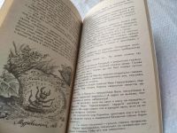 Лот: 16302328. Фото: 10. ок...(4092349)(4092330)Ян Ларри...