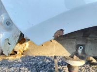 Лот: 25781269. Фото: 5. крыло Kia Rio QB